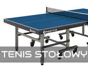 Tenis stołowy