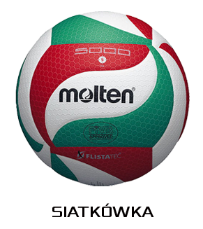 Siatkówka