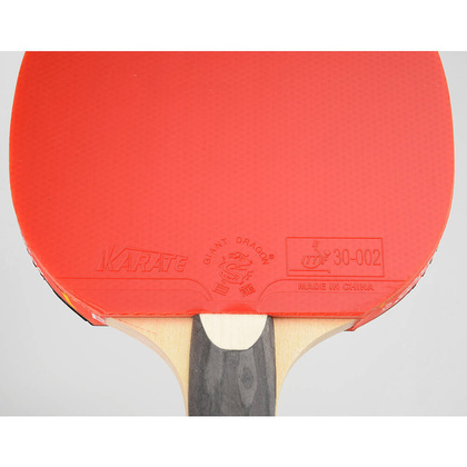 Rakietka do tenisa stołowego ping-ponga Giant Dragon 5★ N8052 + pokrowiec