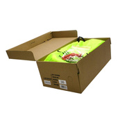 Buty kolce lekkoatletyczne do biegów i skoków na bieżni Legend