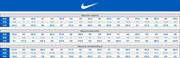 Szaro-czarne buty sportowe Nike FS Lite Trainer 844794-006