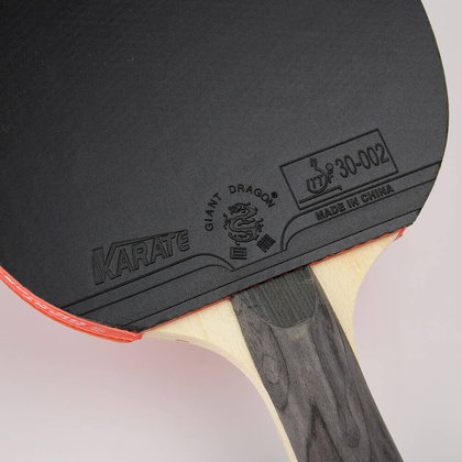 Rakietka do tenisa stołowego ping-ponga Giant Dragon 5★ N8051 + pokrowiec