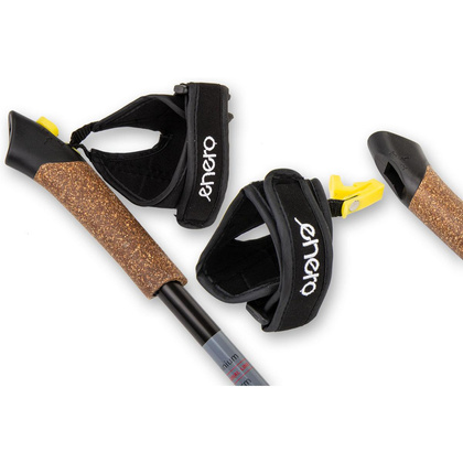Szare kije trekkingowe Nordic Walking Enero 110cm 1038599