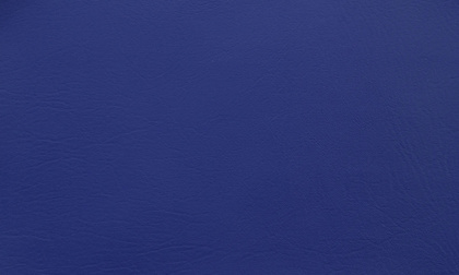 Materac gimnastyczny 100 x 150 x 5 cm R100