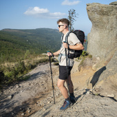 TK8607 KIJE TREKKINGOWE WŁÓKNO WĘGLOWE NILS