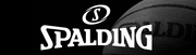 Piłka koszykowa Spalding NBA Rebound rozmiar 7