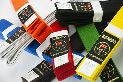 PAS DO KIMON BUSHINDO 260cm pomarańczowy