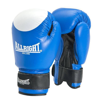 RĘKAWICE BOKSERSKIE PROFESSIONAL 8oz