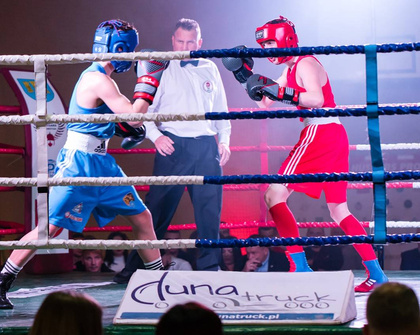 Rękawice bokserskie skóra naturalna PRO SPIDER 16 oz