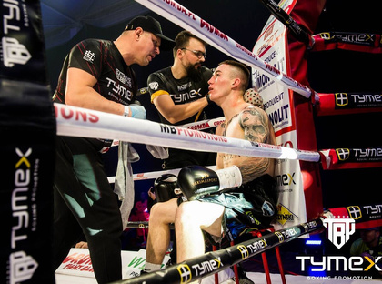 Rękawice bokserskie TIGER GOLD L 14 oz