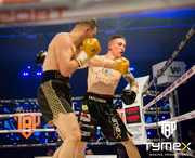 Rękawice bokserskie TIGER GOLD L 14 oz