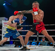 Rękawice bokserskie WOLF RED V 14 oz