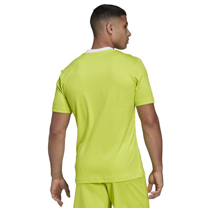 Seledynowa koszulka Adidas Entrada 22 HC5077
