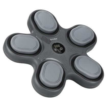 TB11 ELEKTRONICZNA TARCZA BOKSERSKA BLUETOOTH Z MUZYKĄ I RĘKAWICAMI HMS