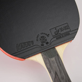 Rakietka do tenisa stołowego ping-ponga Giant Dragon 5★ N8051 + pokrowiec