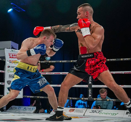 Rękawice bokserskie WOLF RED V 14 oz