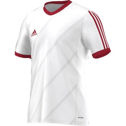 Biała koszulka Adidas Tabela  14 F50273 