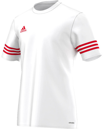Biała koszulka sportowa Adidas Entrada 14 F50490 Junior