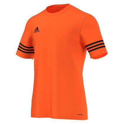 Pomarańczowa koszulka sportowa Adidas Entrada 14 F50488