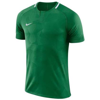 Zielona koszulka Nike Dry Chalang 894053-341 JR